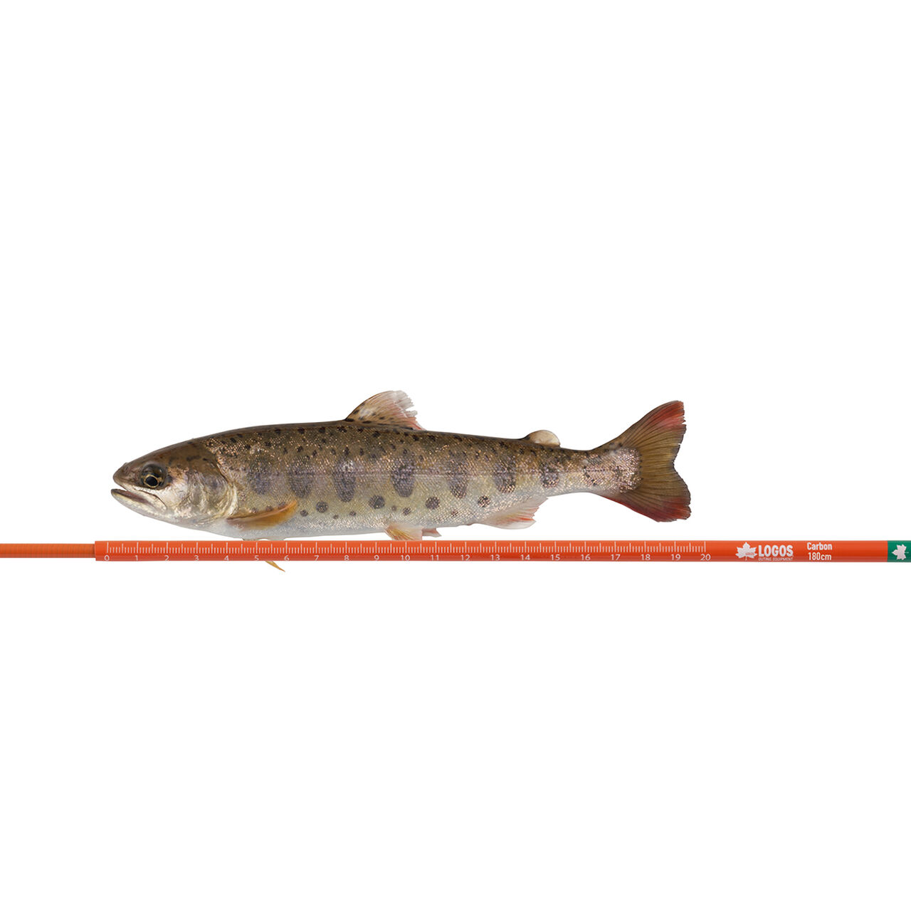 Easy Fishing Kit,, large image number 10
